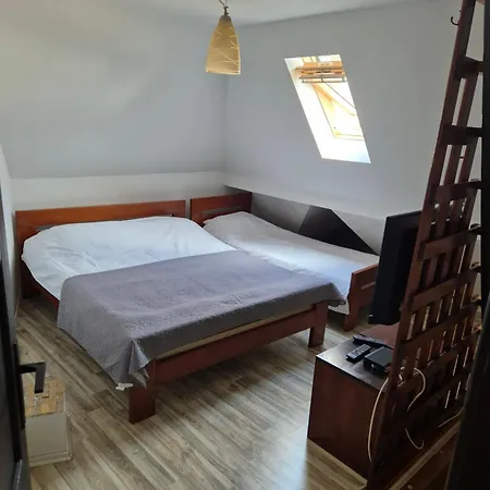 Kraljevski Apartment Kopaonik